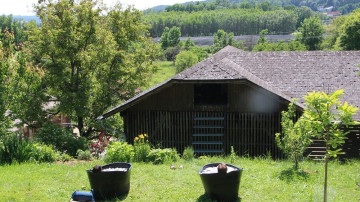 Image 19 of 23 -
            Experience the Wim Hof Method to get an impression of  at 