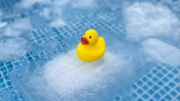 Image 7 of 7 -
            Experience the Wim Hof Method to get an impression of  at 