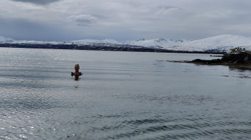 Image 2 of 6 -
Experience the Wim Hof Method to get an impression of at Image 2 of 6 -
Experience the Wim Hof Method to get an impression of at