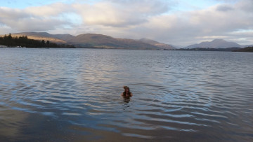 Image 16 of 38 -
            Experience the Wim Hof Method to get an impression of  at 