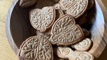 Image 31 of 31 -
            Experience the Wim Hof Method to get an impression of  at 