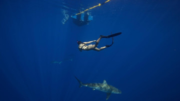 Image 2 of 6 -
            Experience the Wim Hof Method to get an impression of  at 