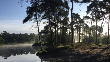 Image 6 of 7 -
            Experience the Wim Hof Method to get an impression of  at 