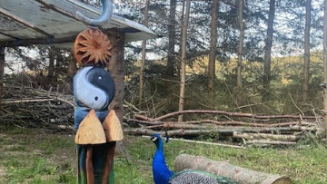 Image 7 of 7 -
            Experience the Wim Hof Method to get an impression of  at 