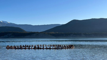 Image 1 of 1 -
            Experience the Wim Hof Method to get an impression of  at 