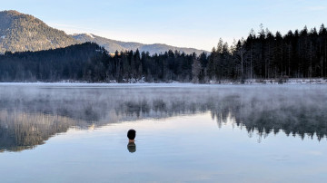 Image 1 of 2 -
            Experience the Wim Hof Method to get an impression of  at 