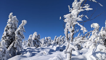 Image 2 of 4 -
            Experience the Wim Hof Method to get an impression of  at 