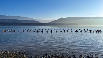 Image 15 of 19 -
            Experience the Wim Hof Method to get an impression of  at 