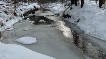 Image 1 of 14 -
            Experience the Wim Hof Method to get an impression of  at 