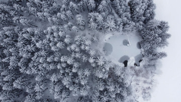 Image 6 of 16 -
            Experience the Wim Hof Method to get an impression of  at 