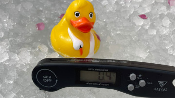 Image 9 of 19 -
            Experience the Wim Hof Method to get an impression of  at 