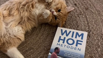 Image 13 of 16 -
            Experience the Wim Hof Method to get an impression of  at 