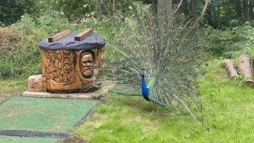 Image 6 of 7 -
            Experience the Wim Hof Method to get an impression of  at 