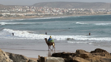 Image 18 of 31 -
            Experience the Wim Hof Method to get an impression of  at 