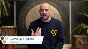 Image 4 of 53 -
            Experience the Wim Hof Method to get an impression of  at 