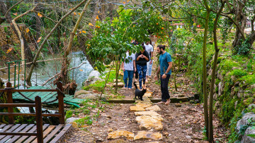 Image 31 of 36 -
            Experience the Wim Hof Method to get an impression of  at 