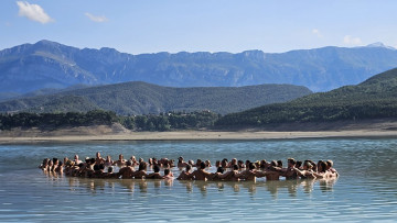 Image 6 of 6 -
            Experience the Wim Hof Method to get an impression of  at 