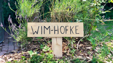 Image 3 of 7 -
            Experience the Wim Hof Method to get an impression of  at 