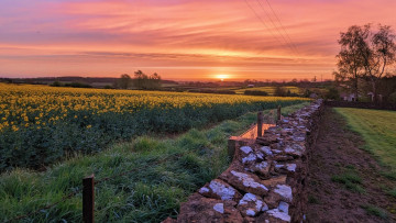 Image 1 of 1 -
            Experience the Wim Hof Method to get an impression of  at 