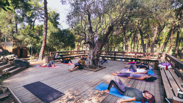 Image 11 of 36 -
            Experience the Wim Hof Method to get an impression of  at 