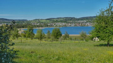 Image 12 of 65 -
            Experience the Wim Hof Method to get an impression of  at 