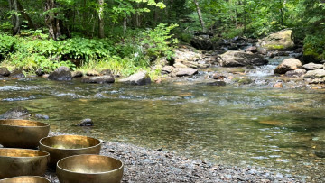 Image 1 of 1 -
            Experience the Wim Hof Method to get an impression of  at 