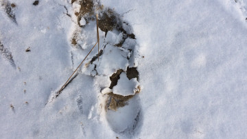 Image 7 of 33 -
            Experience the Wim Hof Method to get an impression of  at 