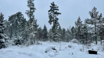 Image 3 of 31 -
            Experience the Wim Hof Method to get an impression of  at 