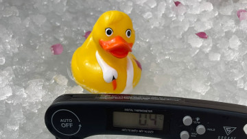 Image 13 of 19 -
            Experience the Wim Hof Method to get an impression of  at 