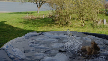 Image 15 of 65 -
            Experience the Wim Hof Method to get an impression of  at 