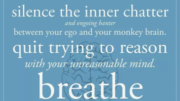 Image 1 of 1 -
            Experience the Wim Hof Method to get an impression of  at 