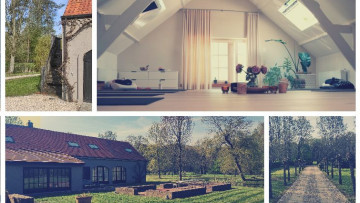 Image 4 of 9 -
            Experience the Wim Hof Method to get an impression of  at 