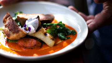 Image 15 of 25 -
            Experience the Wim Hof Method to get an impression of  at 