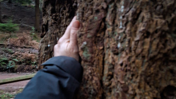 Image 24 of 27 -
            Experience the Wim Hof Method to get an impression of  at 