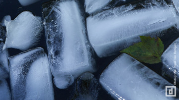 Image 8 of 33 -
            Experience the Wim Hof Method to get an impression of  at 