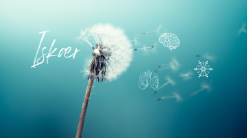 Image 2 of 7 -
            Experience the Wim Hof Method to get an impression of  at 