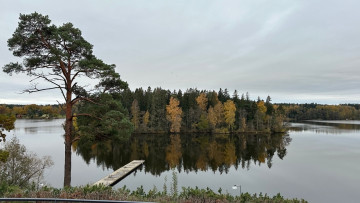 Image 7 of 31 -
            Experience the Wim Hof Method to get an impression of  at 