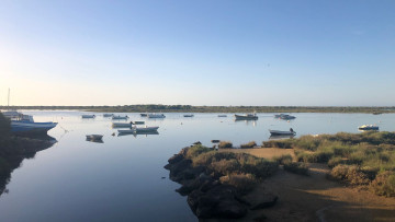 Image 2 of 5 -
            Experience the Wim Hof Method to get an impression of  at 