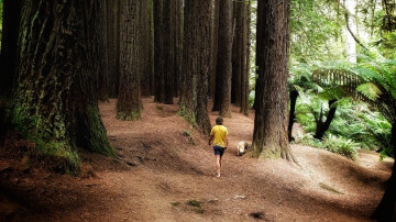 Image 1 of 1 -
            Experience the Wim Hof Method to get an impression of  at 