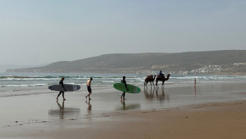 Image 19 of 31 -
            Experience the Wim Hof Method to get an impression of  at 