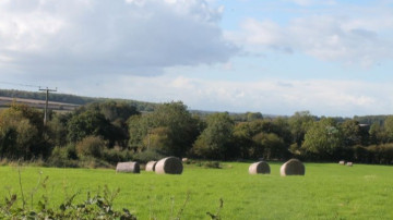 Image 17 of 20 -
            Experience the Wim Hof Method to get an impression of  at 