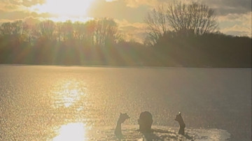 Image 7 of 8 -
            Experience the Wim Hof Method to get an impression of  at 