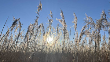 Image 3 of 7 -
            Experience the Wim Hof Method to get an impression of  at 