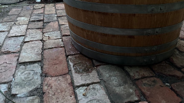 Image 8 of 14 -
            Experience the Wim Hof Method to get an impression of  at 