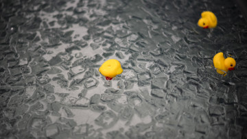 Image 5 of 6 -
            Experience the Wim Hof Method to get an impression of  at 