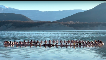 Image 2 of 5 -
Experience the Wim Hof Method to get an impression of at Image 2 of 5 -
Experience the Wim Hof Method to get an impression of at