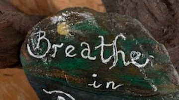 Image 36 of 48 -
            Experience the Wim Hof Method to get an impression of  at 