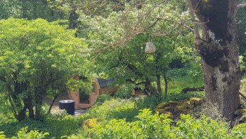 Image 6 of 8 -
            Experience the Wim Hof Method to get an impression of  at 