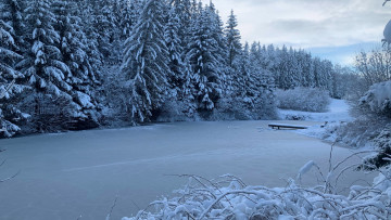 Image 11 of 19 -
            Experience the Wim Hof Method to get an impression of  at 