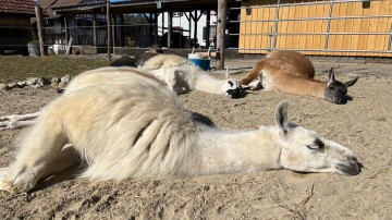 Image 32 of 32 -
            Experience the Wim Hof Method to get an impression of  at 